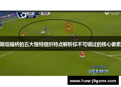 斯坦福桥的五大独特组织特点解析你不可错过的核心要素 斯坦福桥的五大独特组织特点解析你不可错过的核心要素