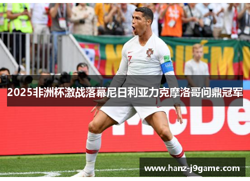 2025非洲杯激战落幕尼日利亚力克摩洛哥问鼎冠军